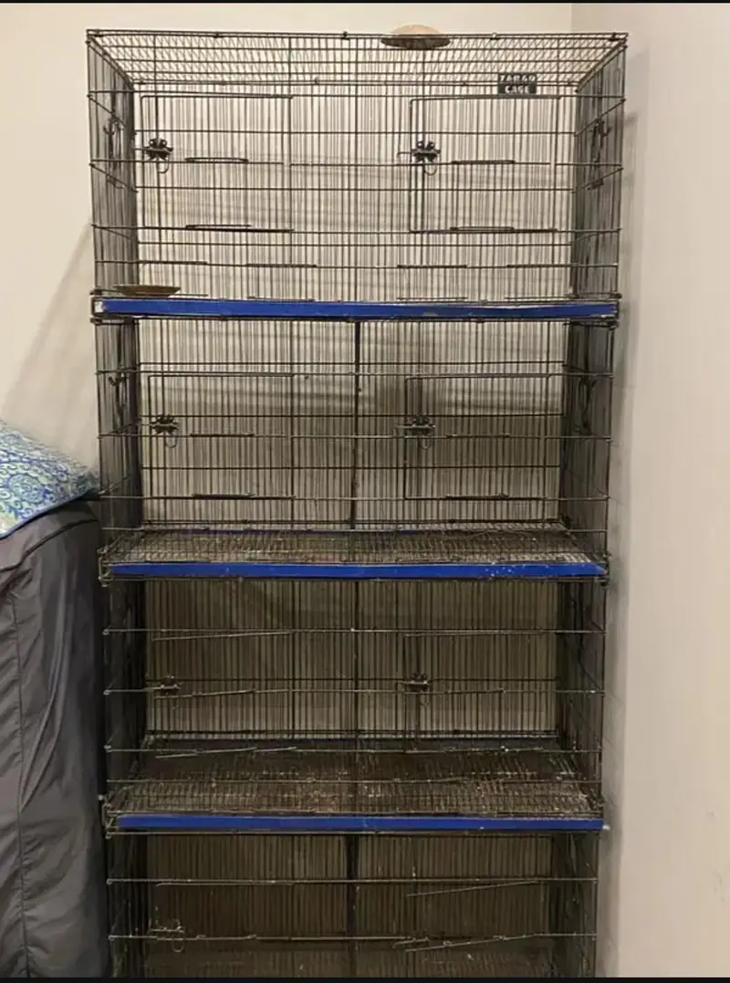 used cage — photo 2