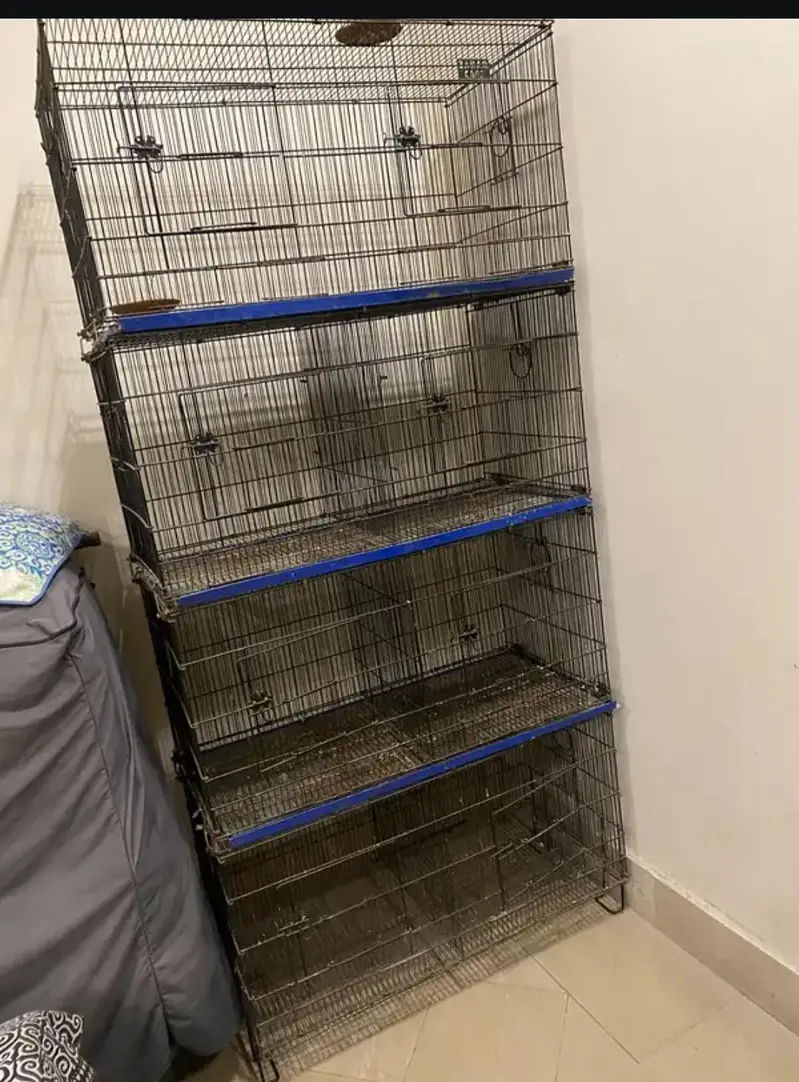 used cage — photo 4