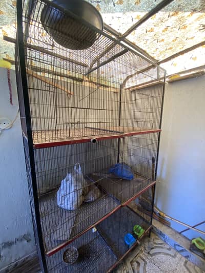 6 Portion Parrots cage for sale