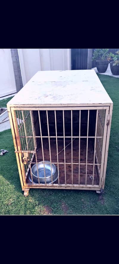 Heavy metal cage for Dogs/ hens/ cats/ and other animals