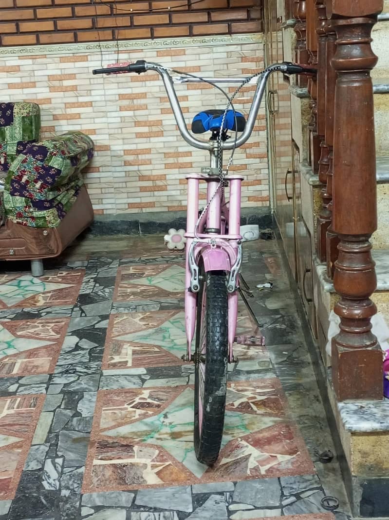 road cycle 2