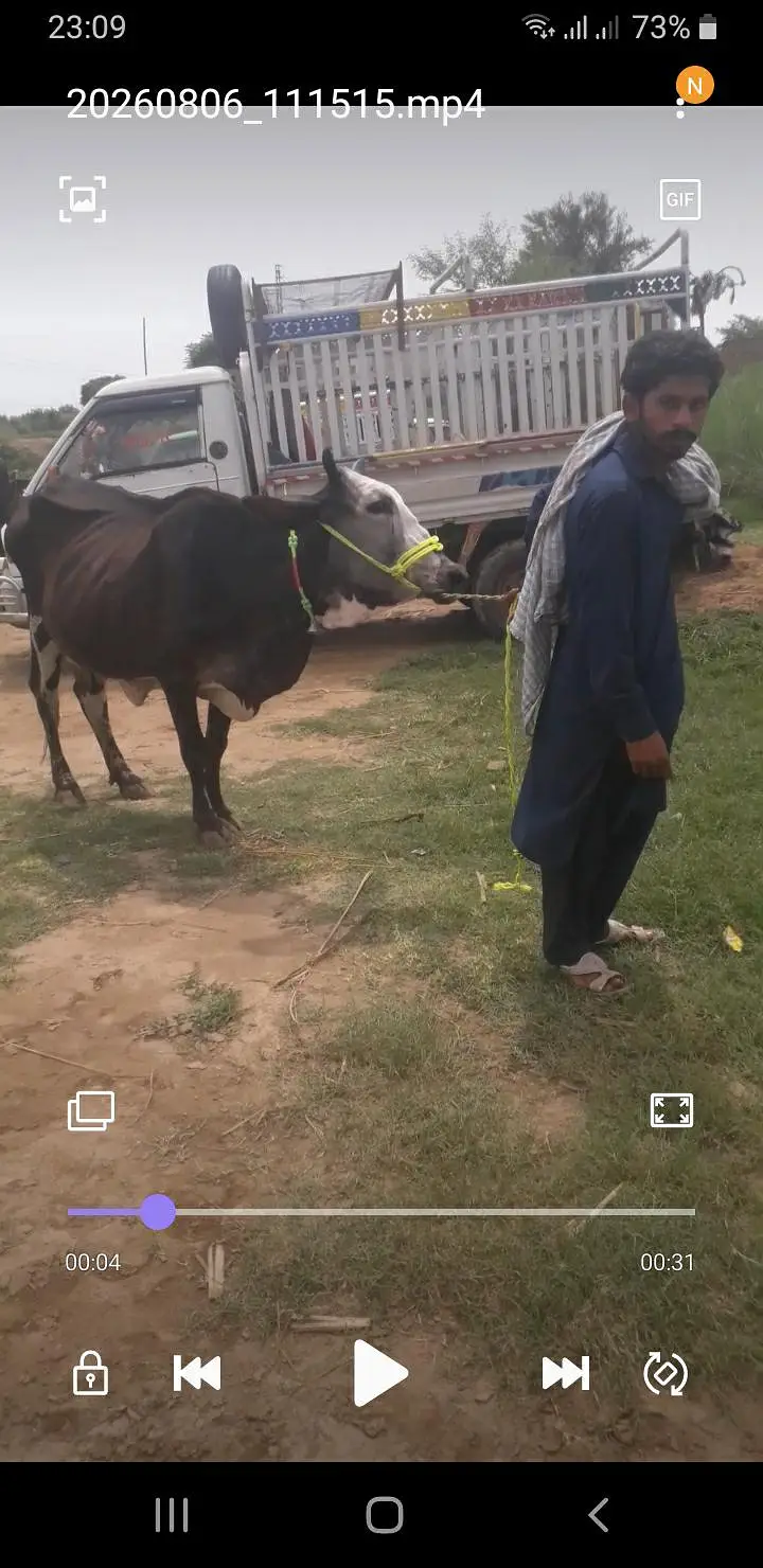desi cras cholistani — photo 2