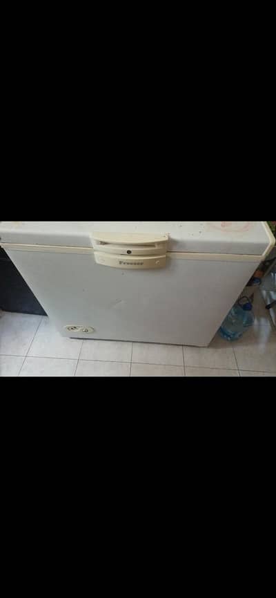 pel single door freezer