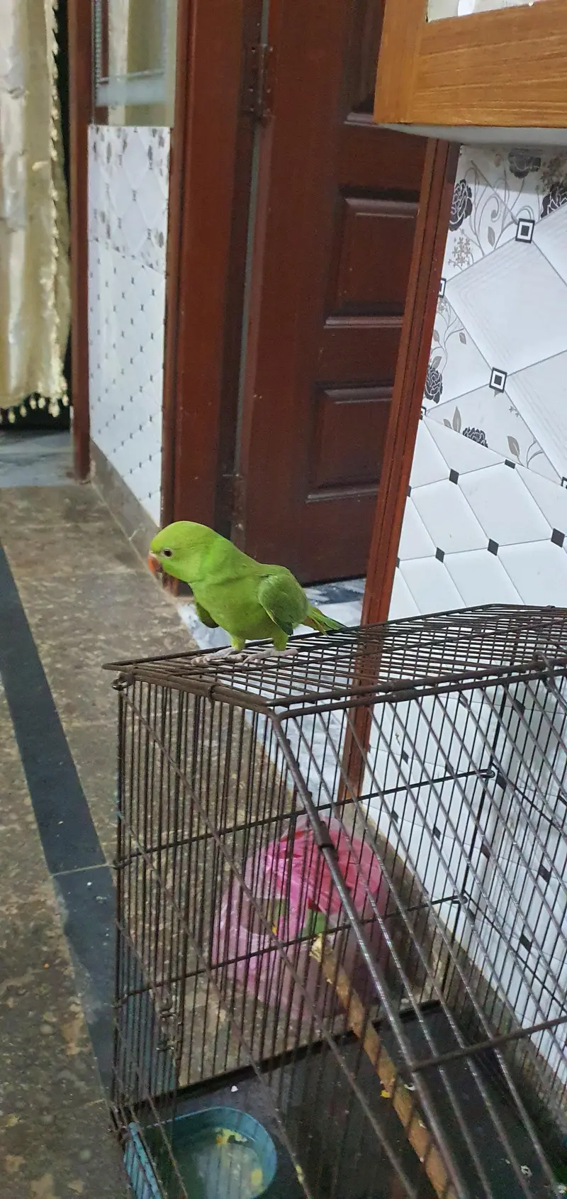 Abi bacha ha 6 month ka hand taim ha healty active ha — photo 5