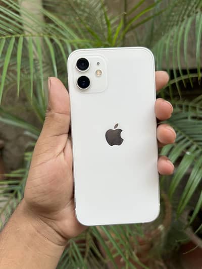 Iphone 12 ( 256 GB ) Urgent Sale