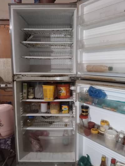 PEL Full Size Fridge ARCTIC For Sell Need Repairing
