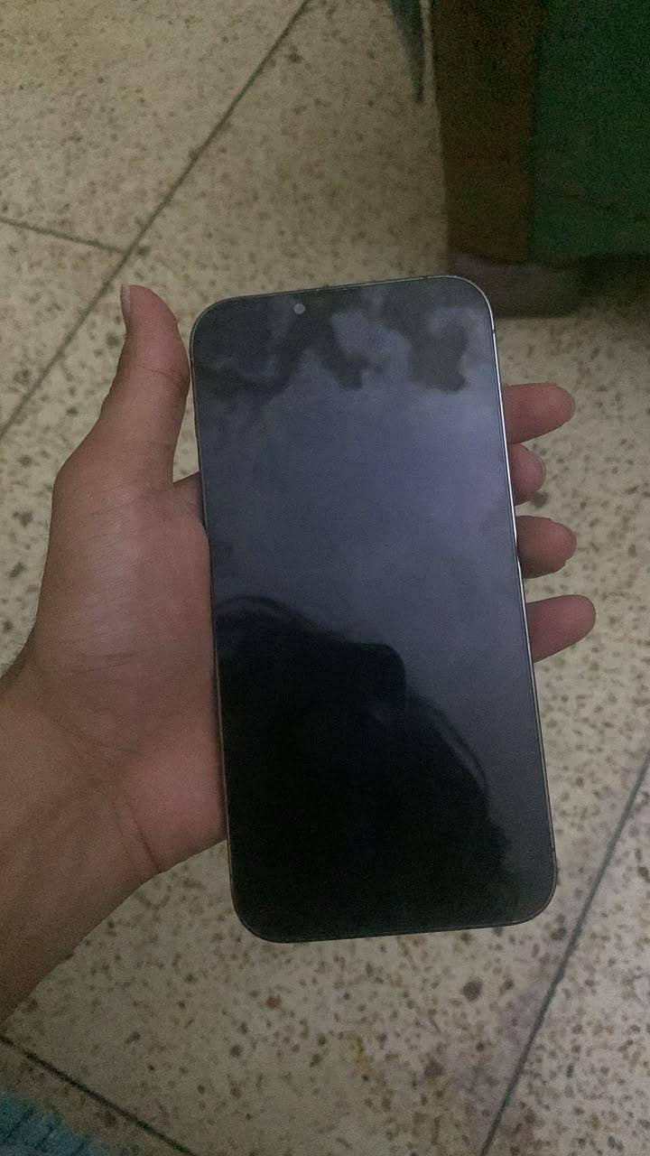 iPhone 13 Pro Max 1