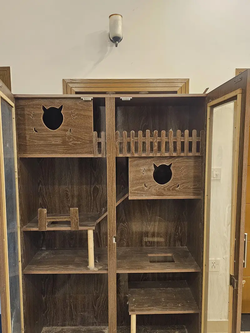 cat house for sale — photo 3