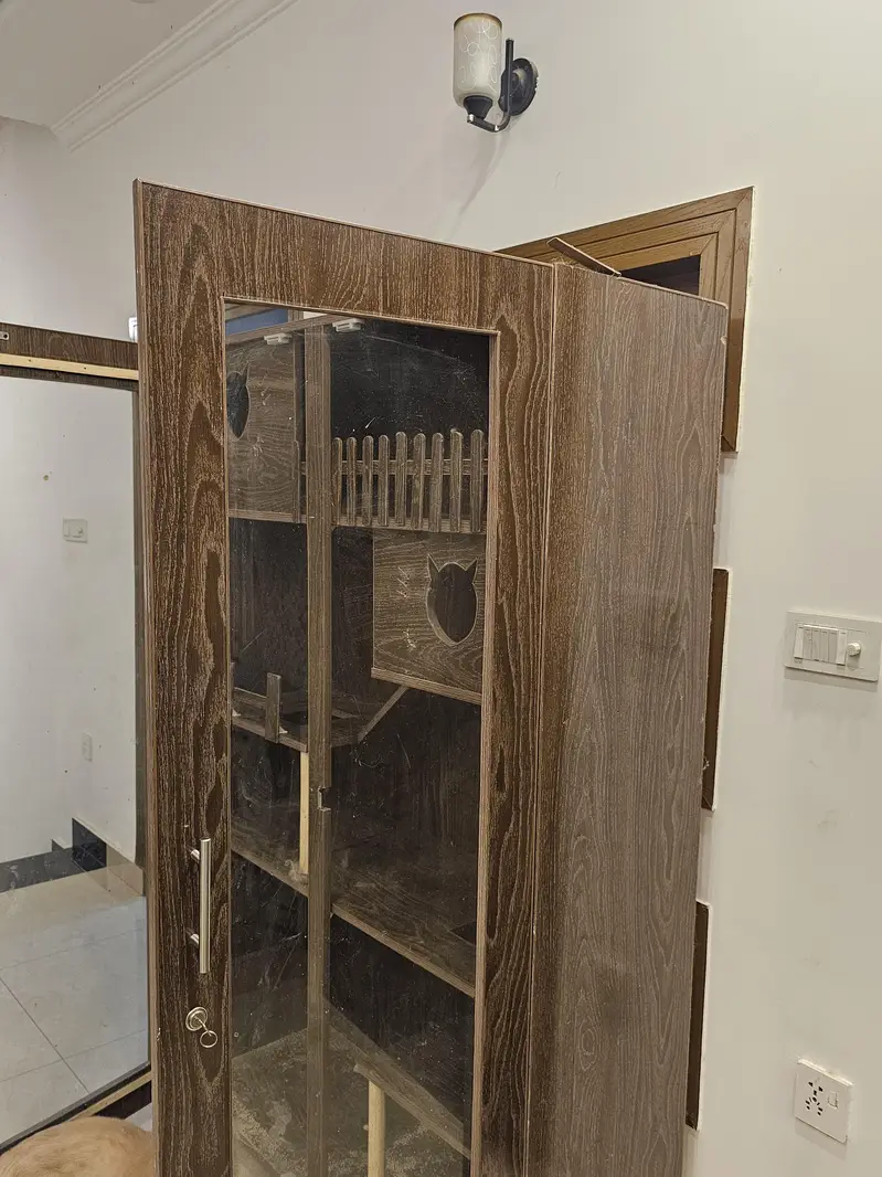 cat house for sale — photo 5