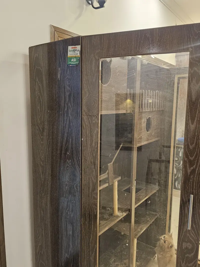 cat house for sale — photo 6