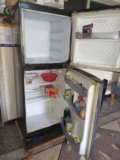 Pel Fridge For Sale