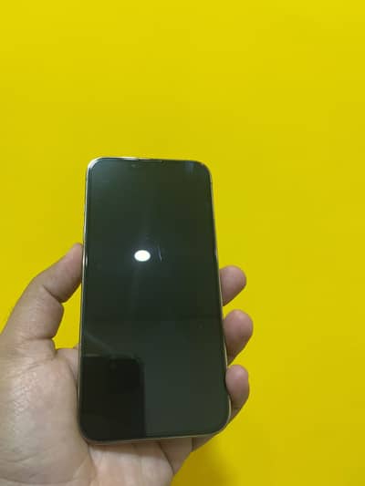 Apple iPhone 13 Pro