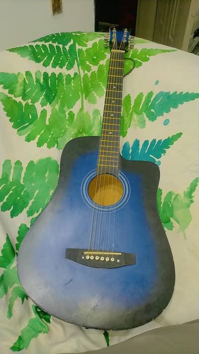 acccustic  guitar