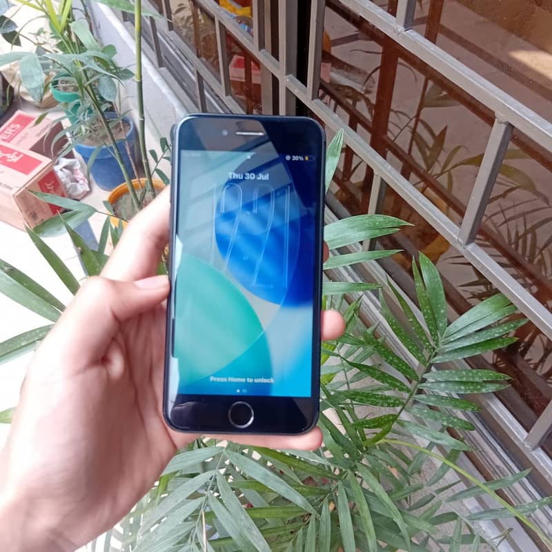 Apple iPhone SE 5