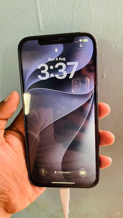 Apple iPhone 12 Pro Max 256Gb