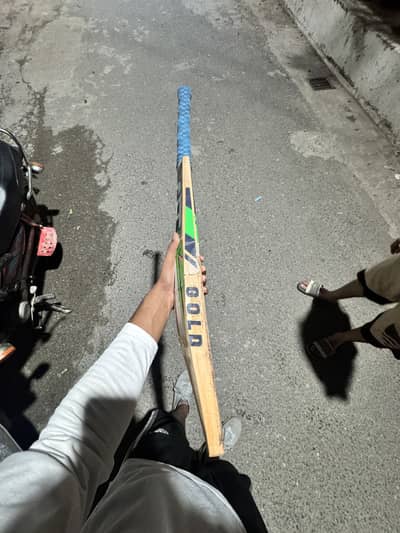 Ca bat