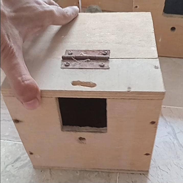 Finches breeding boxes 0