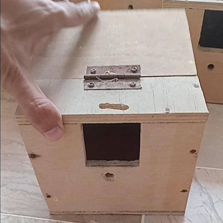 Finches breeding boxes 1
