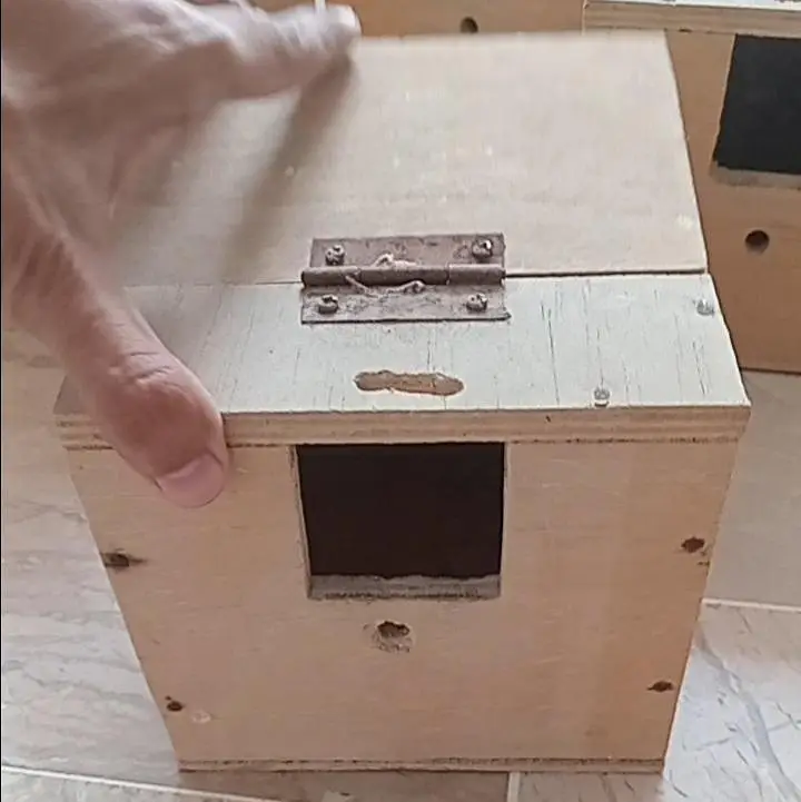 Finches breeding boxes — photo 2