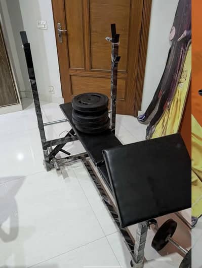 Exercise Bench with dumbbells and Weights