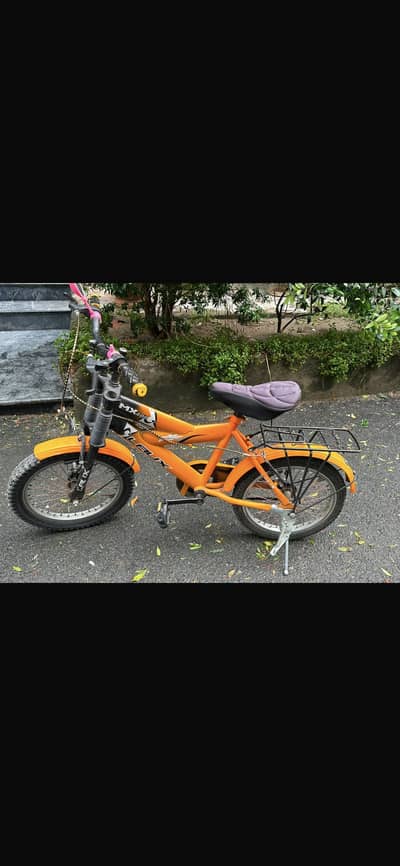 Cycle for 10 year child
