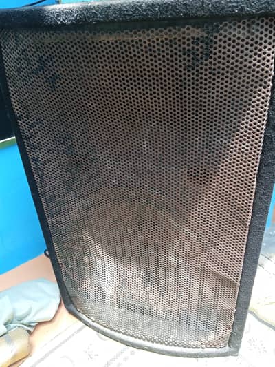 Sounds speaker