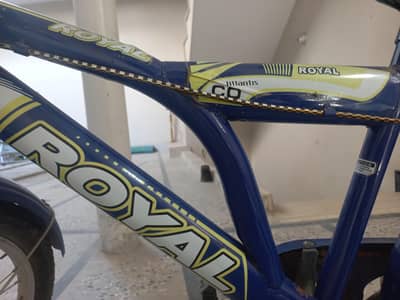 Royal Kids Bicycle