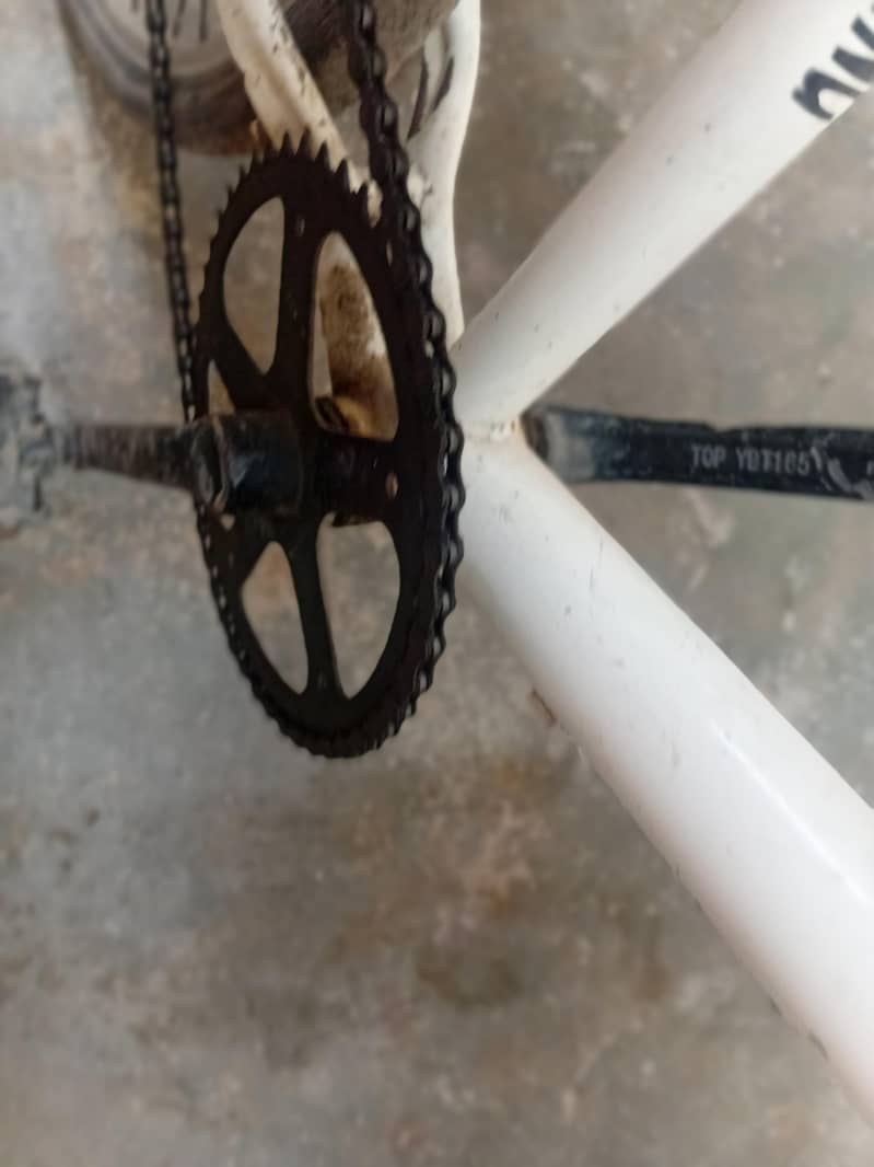 cycle 5