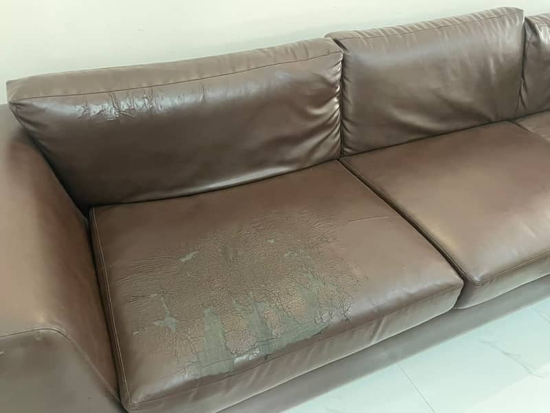 L Shape Sofa 2