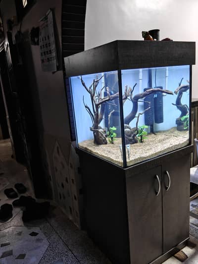 2x2x2 cube aquarium tank