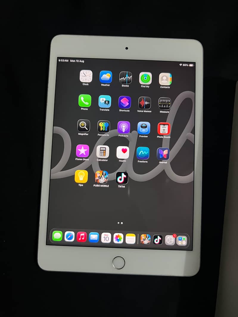 ipad mini 5 0