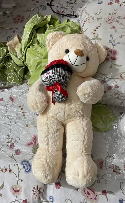 Teddy Bear
