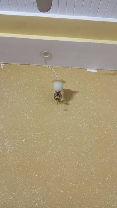 Used Decorative Wall Bracket Light - Good Condition