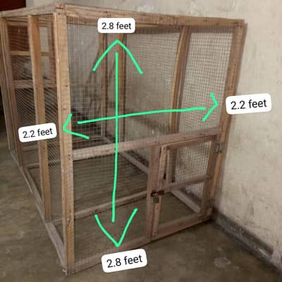 Aseel, Hen, Parrot All Type Of Birds Cage