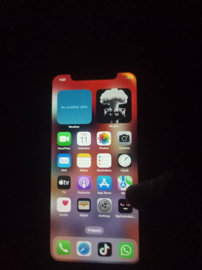 Apple iPhone X 4