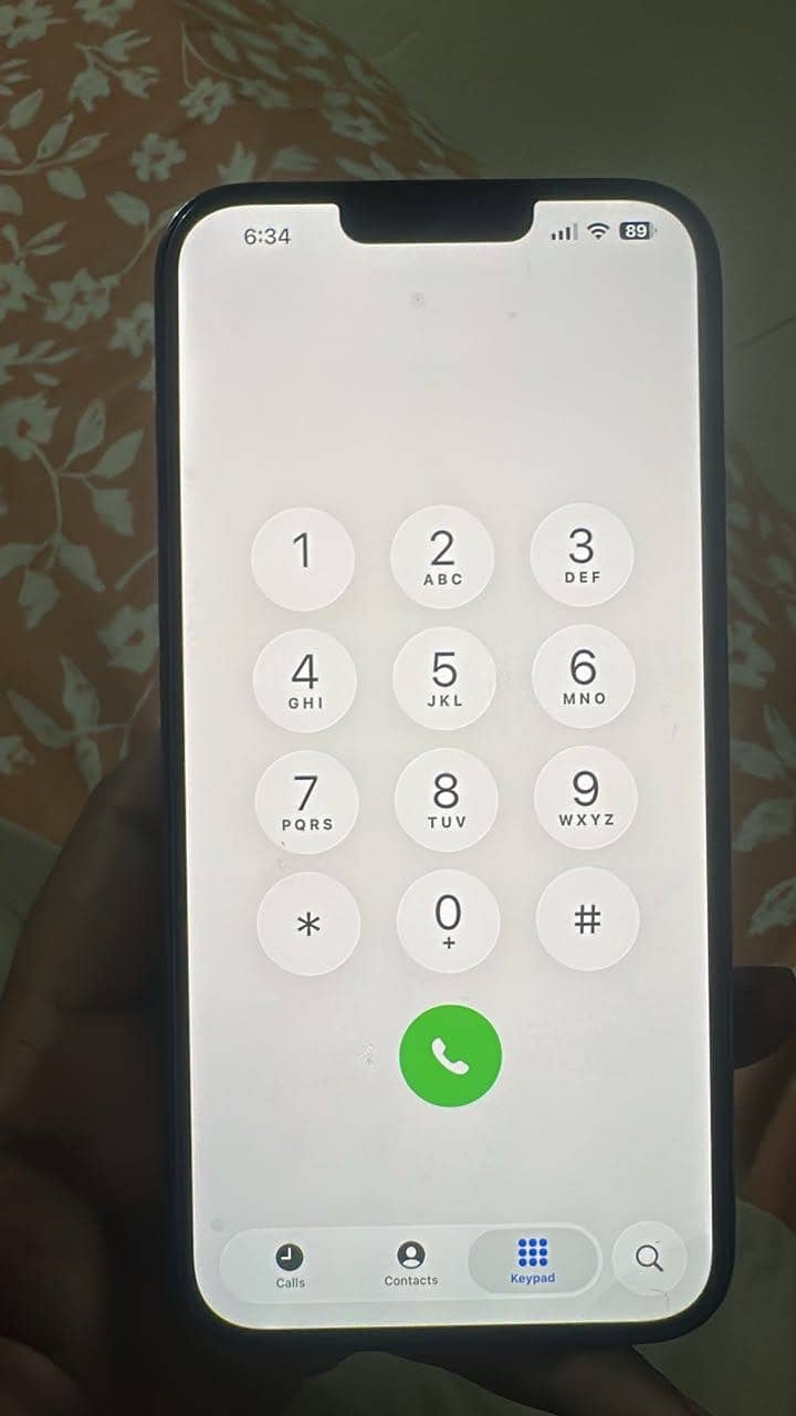 Apple iPhone 13 Pro Max 1