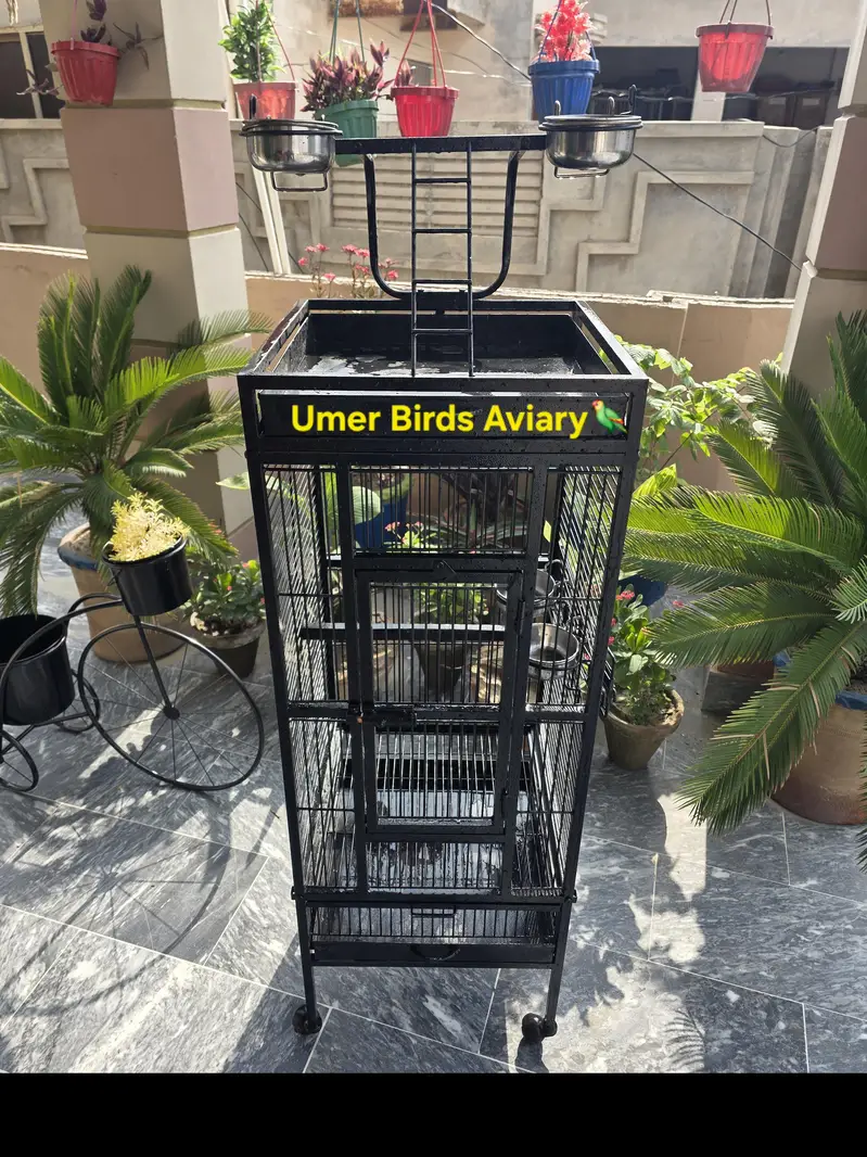 Strong Iron cage