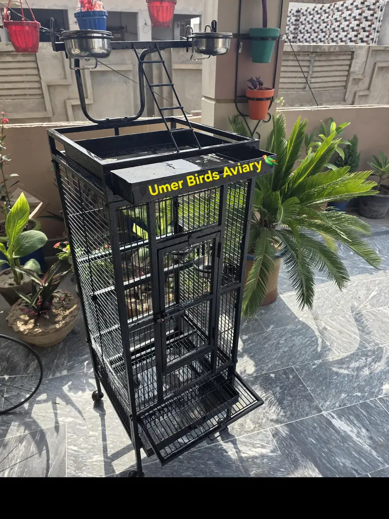 Strong Iron cage — photo 2
