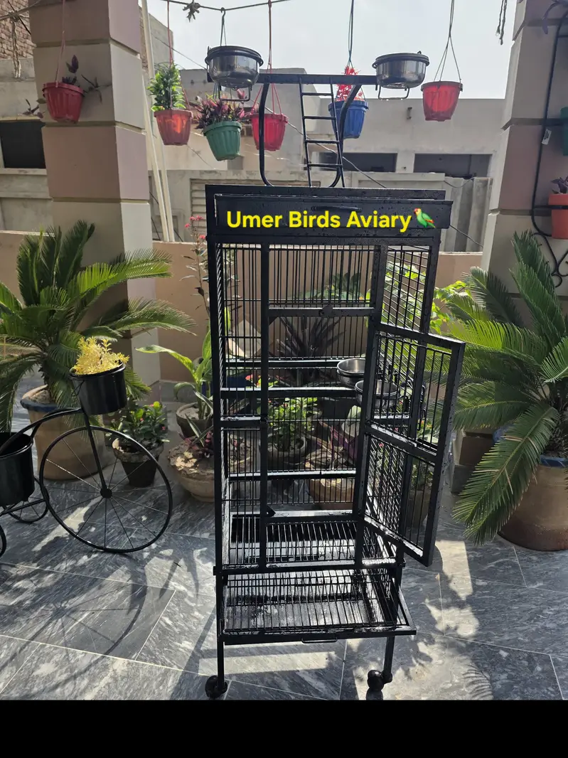 Strong Iron cage — photo 3