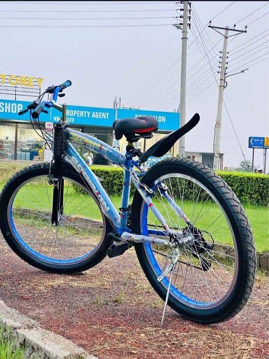 New Goodwin cycle 2