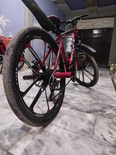 ROXY BICYCLE (ALLMUNIUM FRAME)