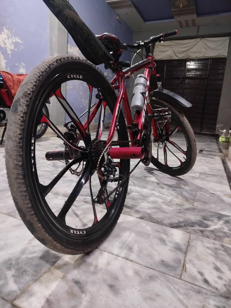 ROXY BICYCLE (ALLMUNIUM FRAME) 2