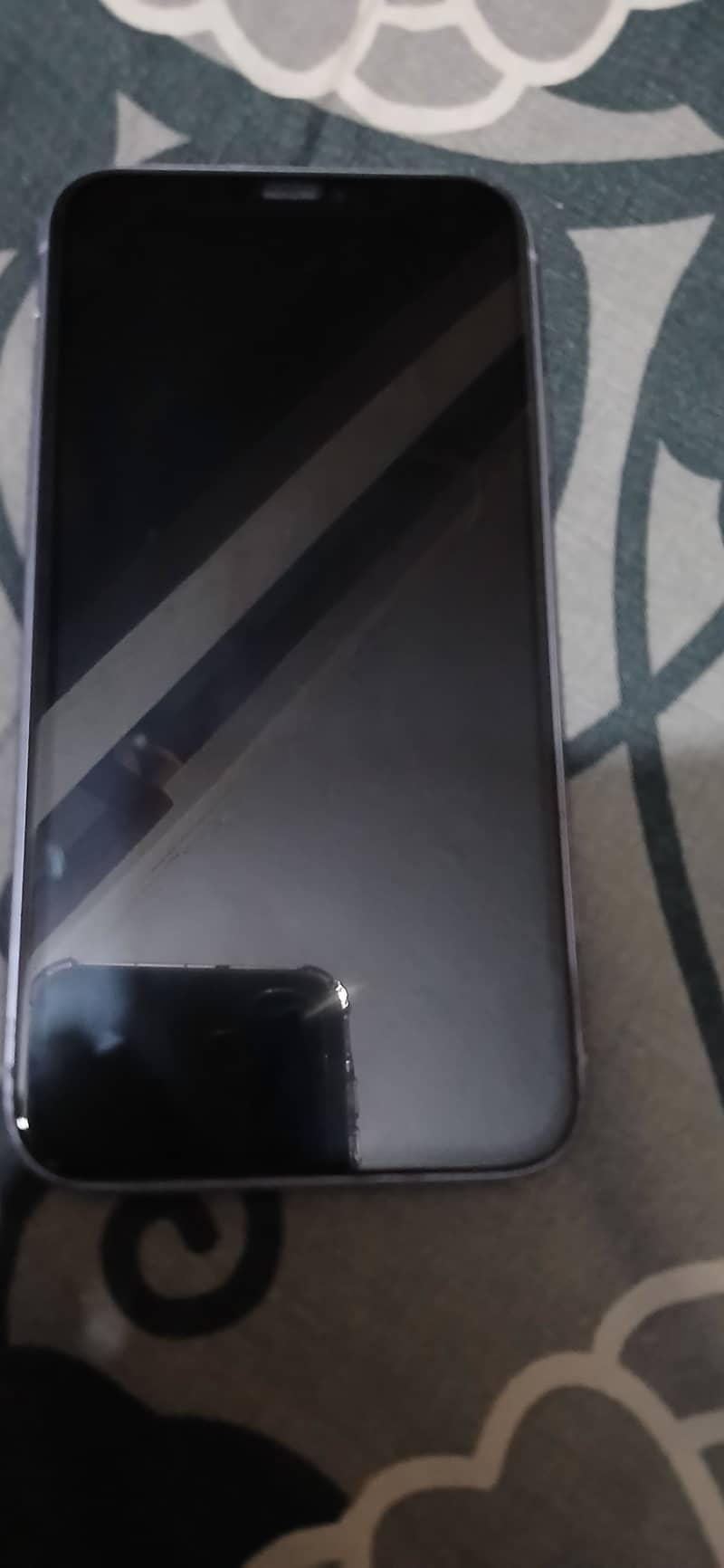 Apple iPhone 11 10