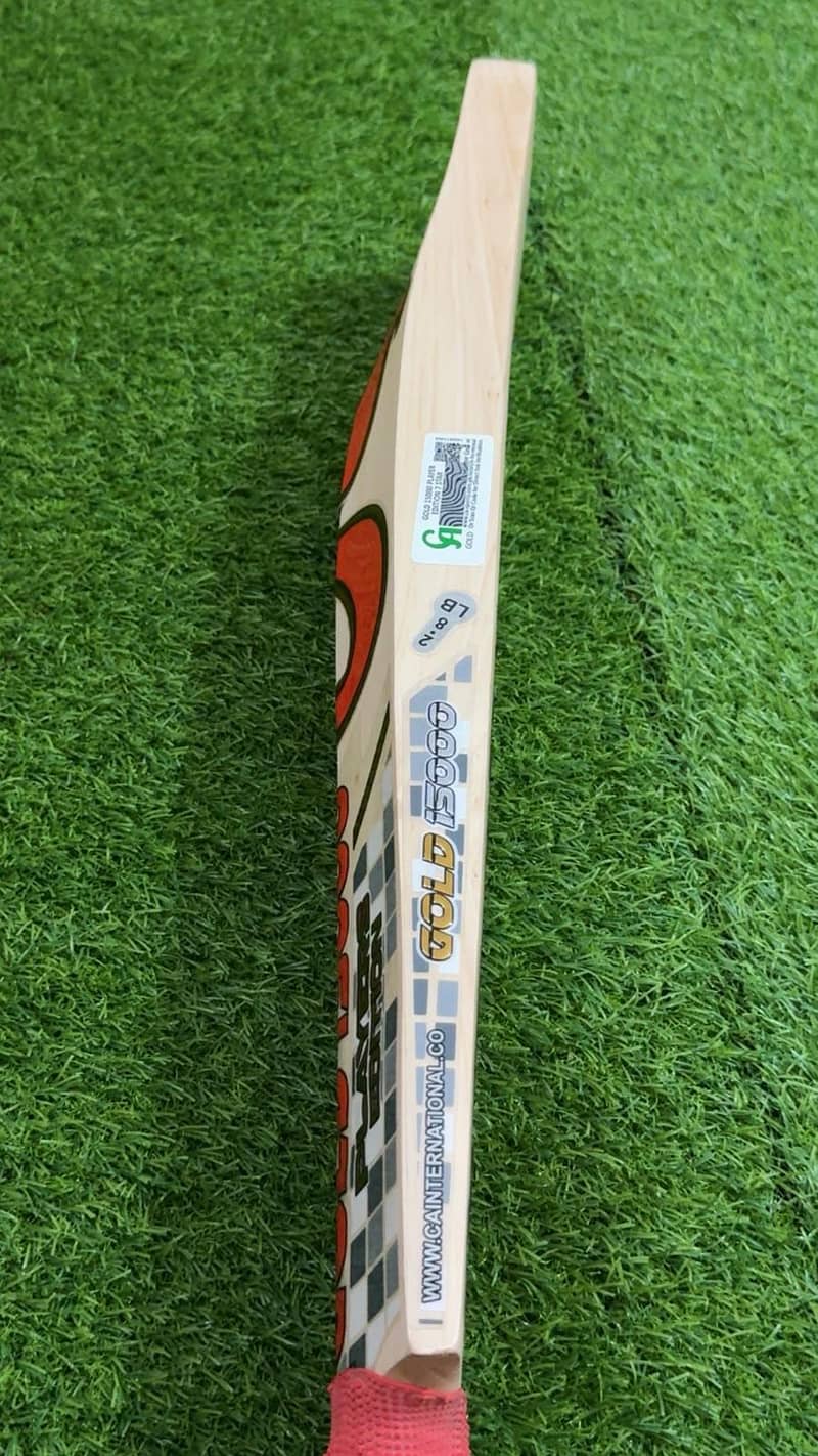 CA PLAYER EDITION 2