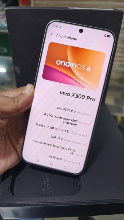 Vivo X300 Pro Chinese Version
