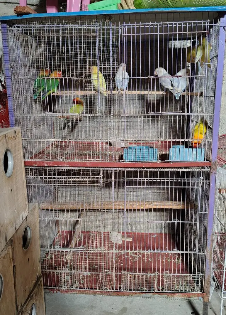 sir ma apna setup sale out kar Raha hu par piece800 — photo 3