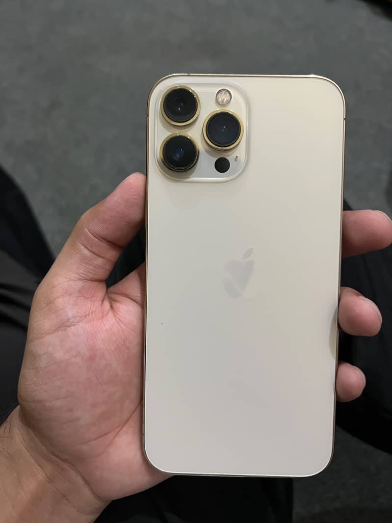 Apple iPhone 13 Pro Max 1