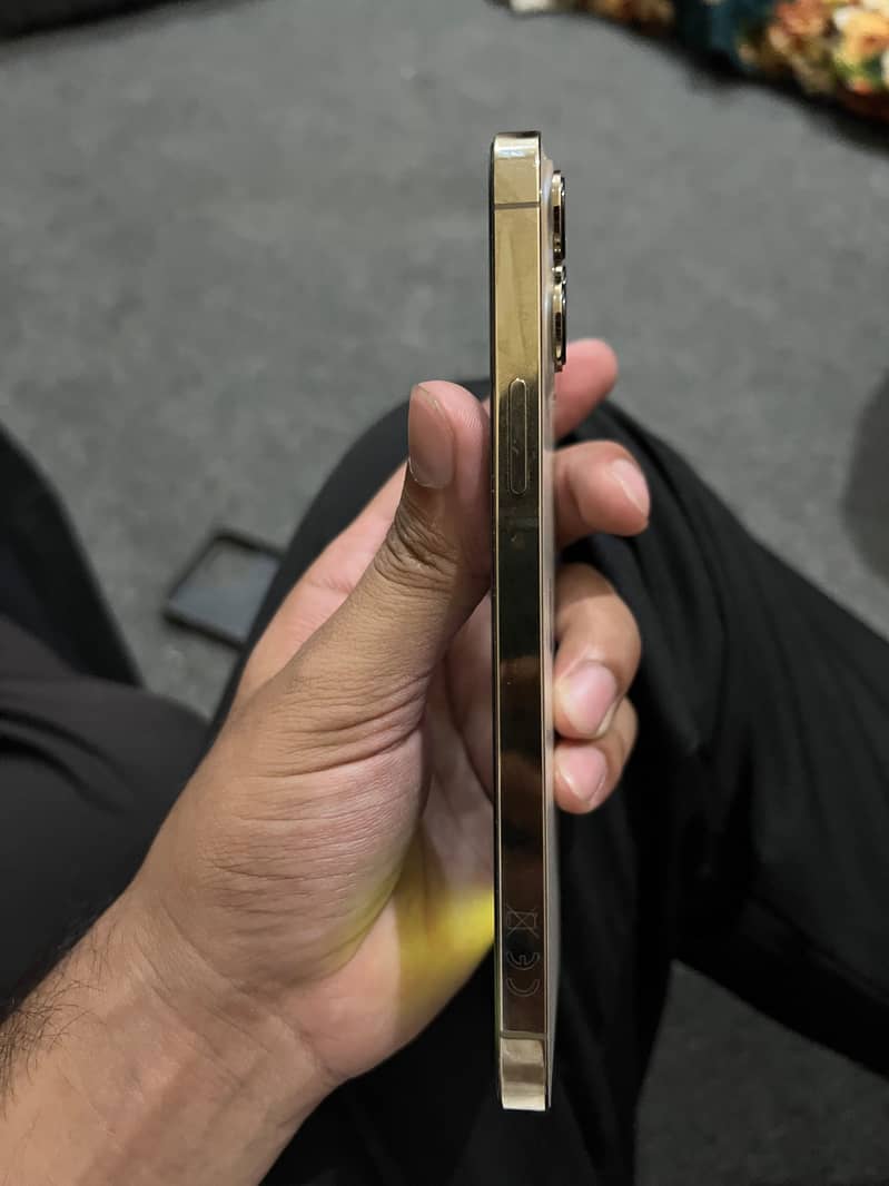 Apple iPhone 13 Pro Max 2