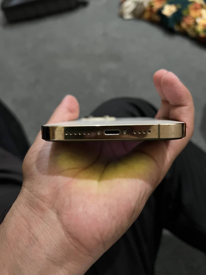 Apple iPhone 13 Pro Max 4