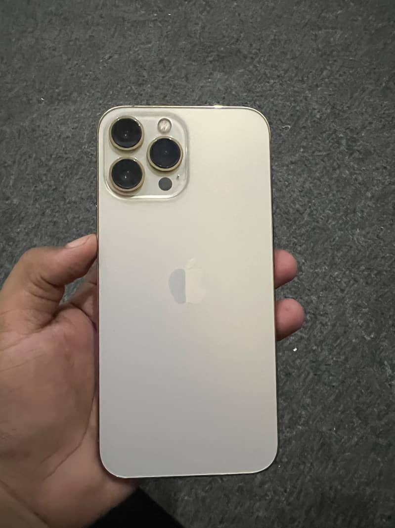Apple iPhone 13 Pro Max 10